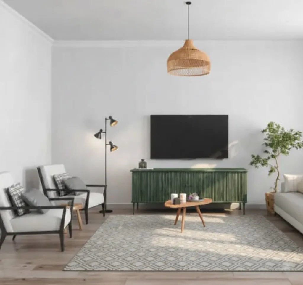 Rug Visualizer - after